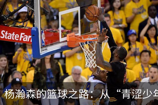 杨瀚森的篮球之路：从“青涩少年”到“战斗力全开”！